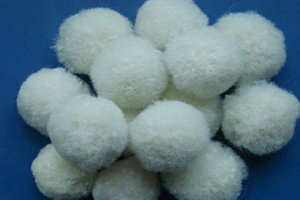 �����w�S��